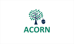 Acorn